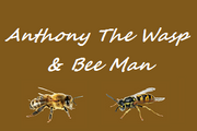 Anthony The Wasp and Bee Man logo