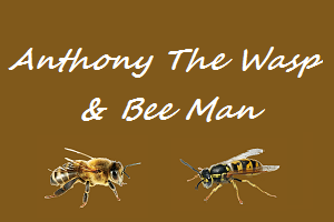 Anthony The Wasp and Bee Man